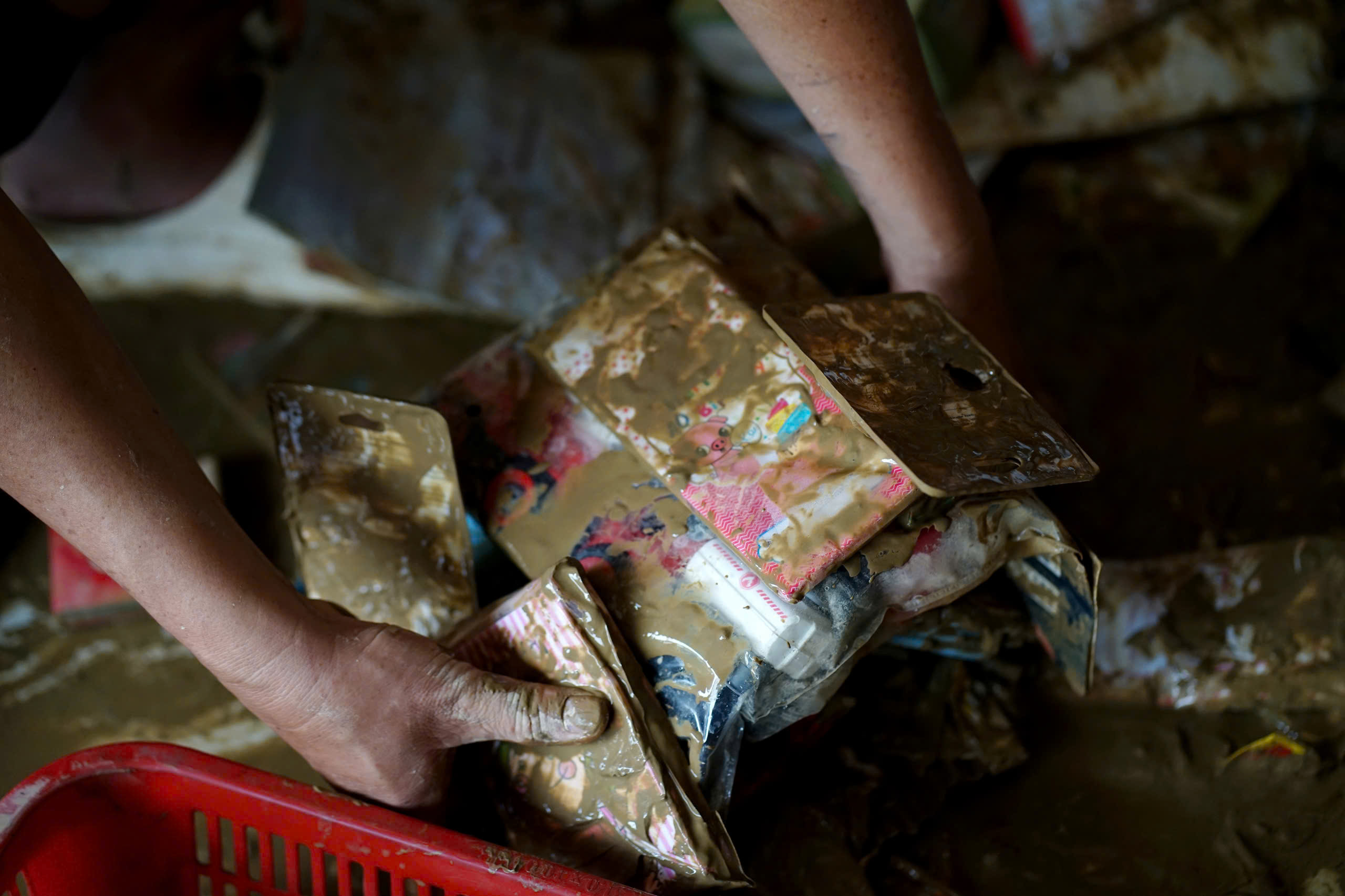 z7250441505348eac3f4422648d6c2a3e9c58ca188611e