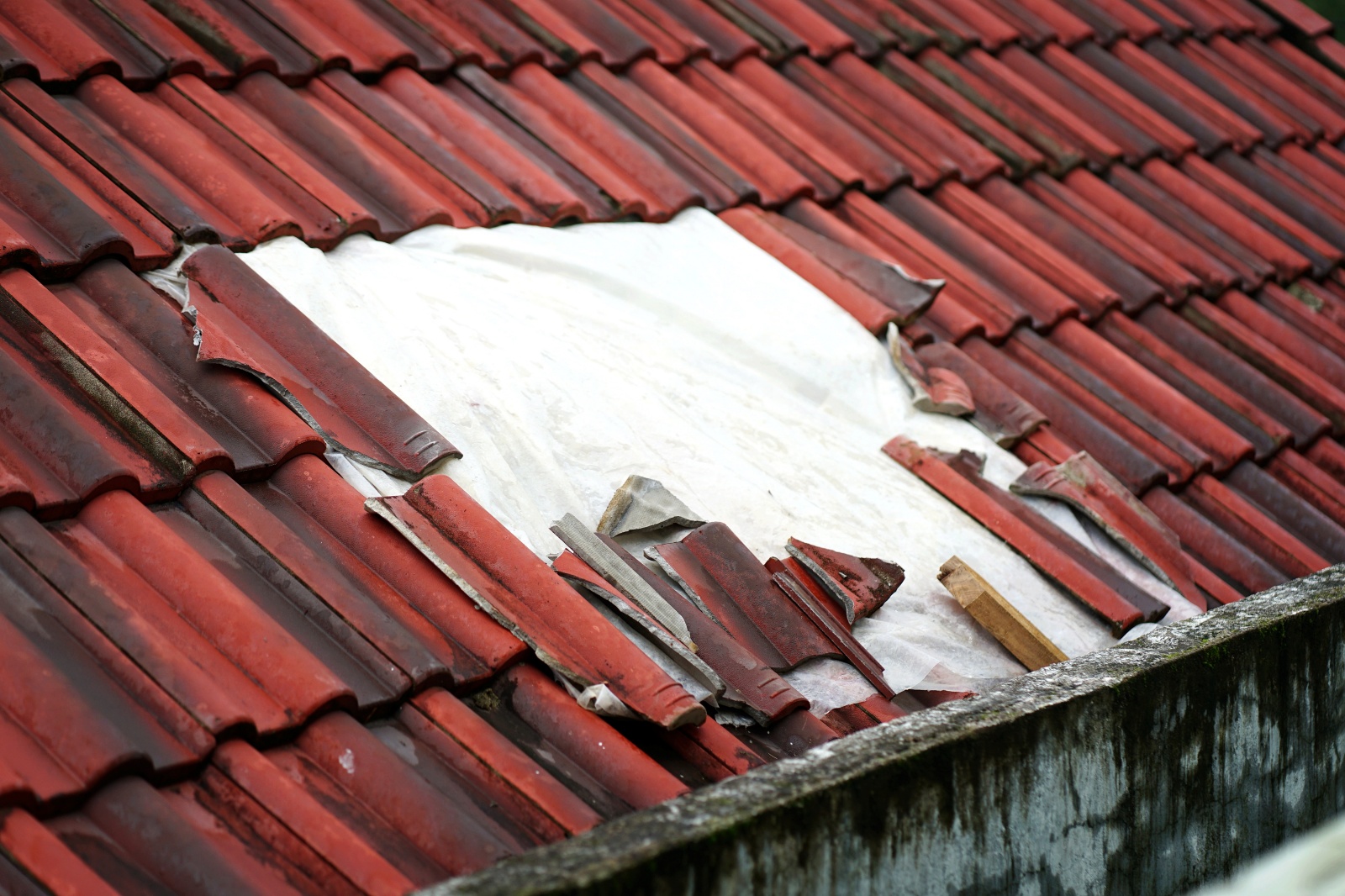 batchimg20251123152634