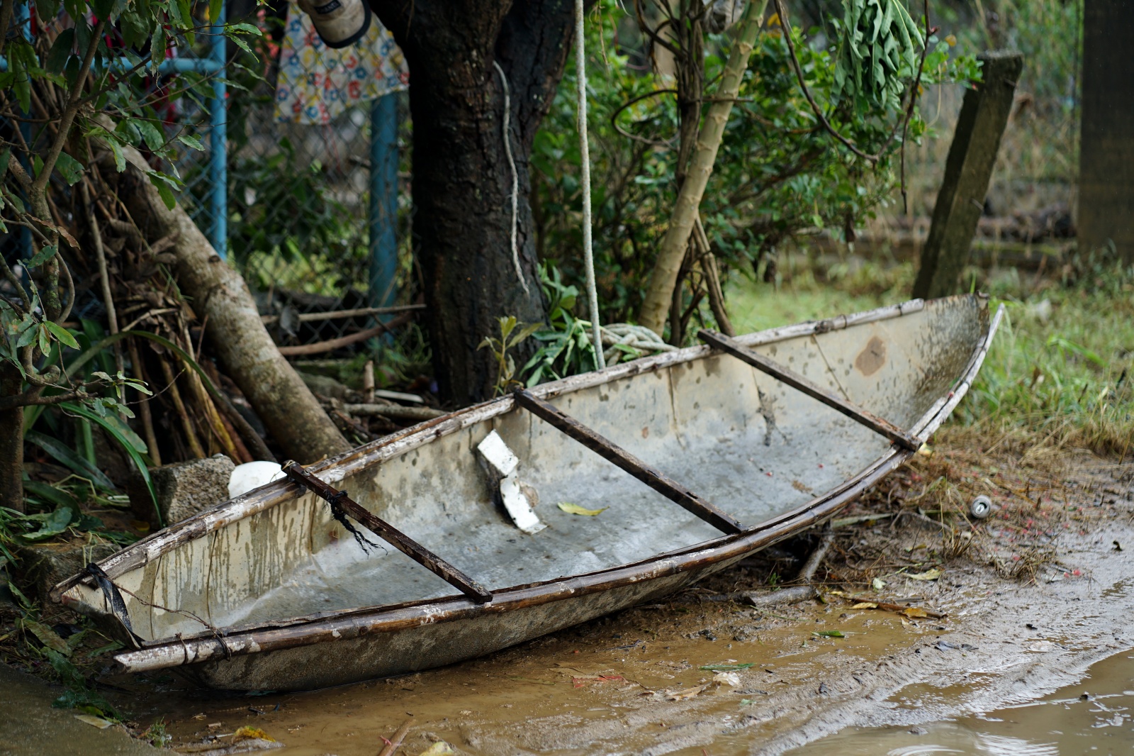 batchimg20251123152648