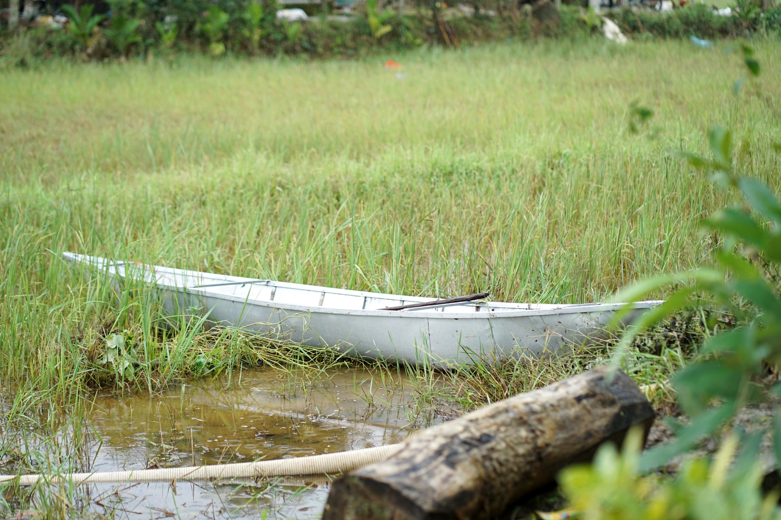 batchimg20251123152702