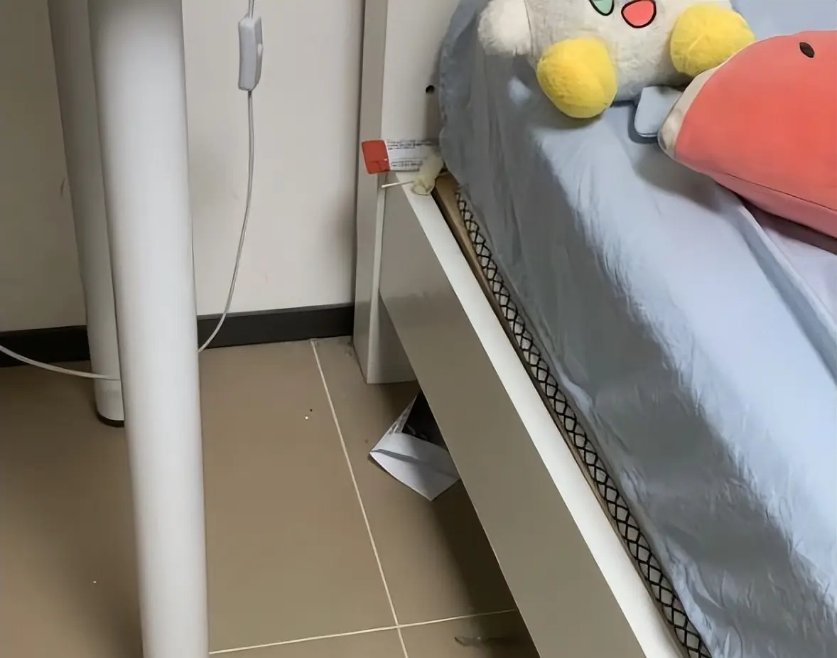 e598a0484e87406799d44f52fa4f489e