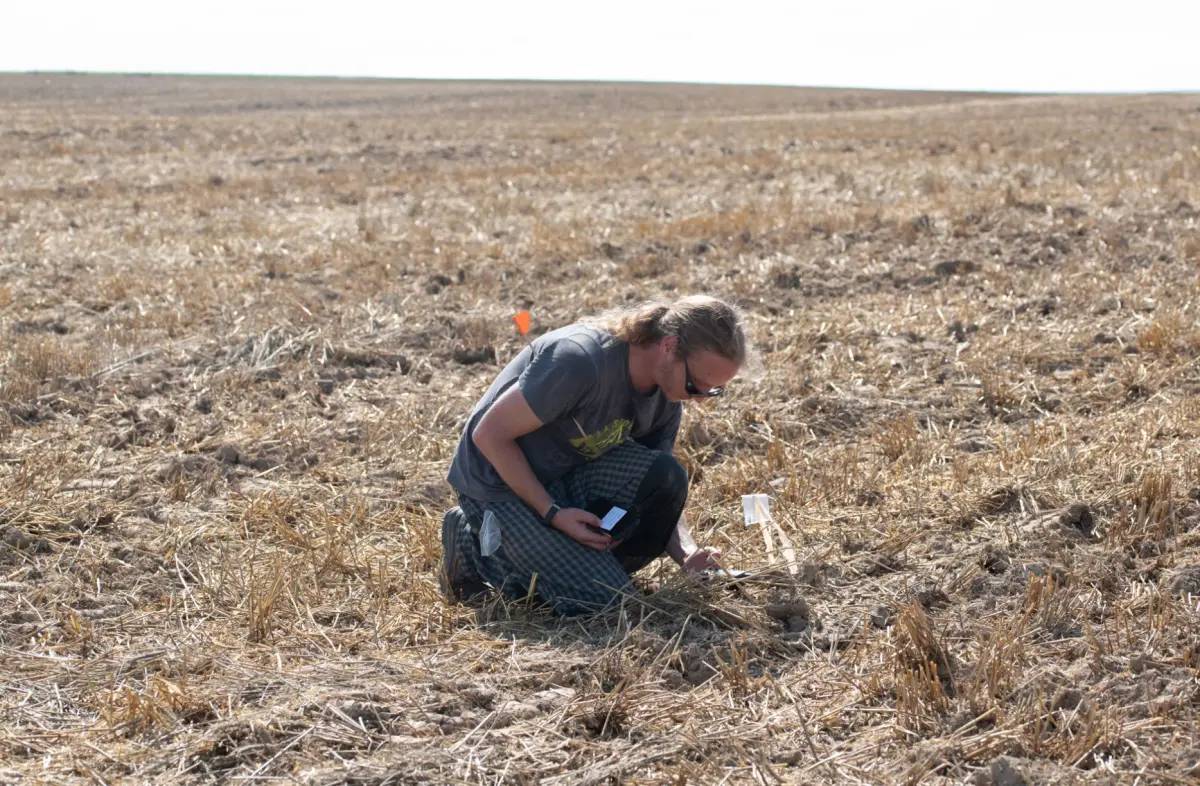 treasure trove priceless celtic gold 112730420