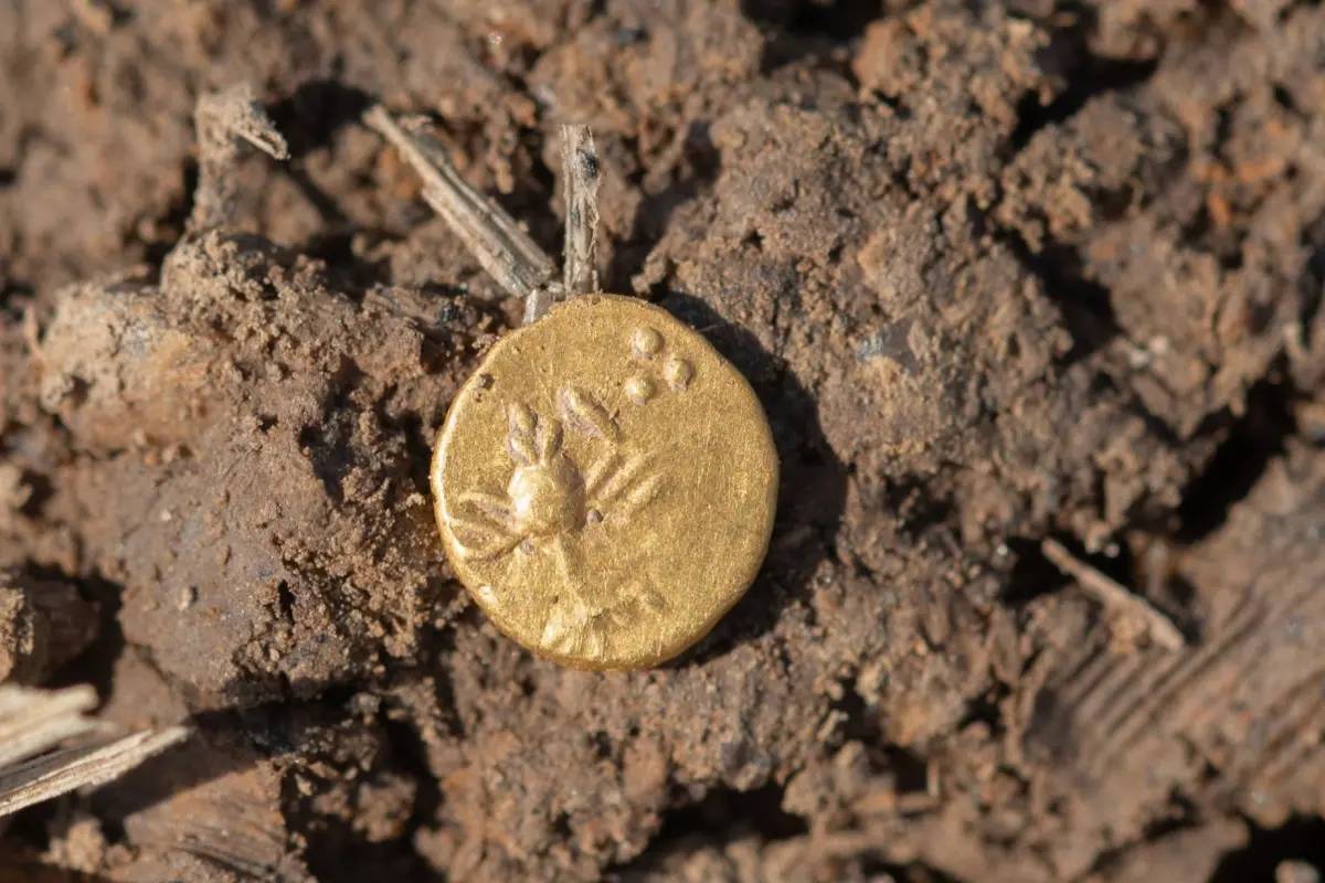 treasure trove priceless celtic gold 1127304211