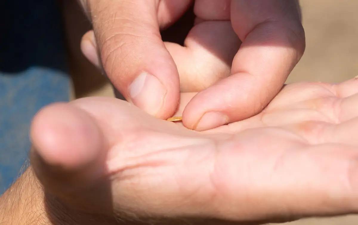 treasure trove priceless celtic gold 112730422