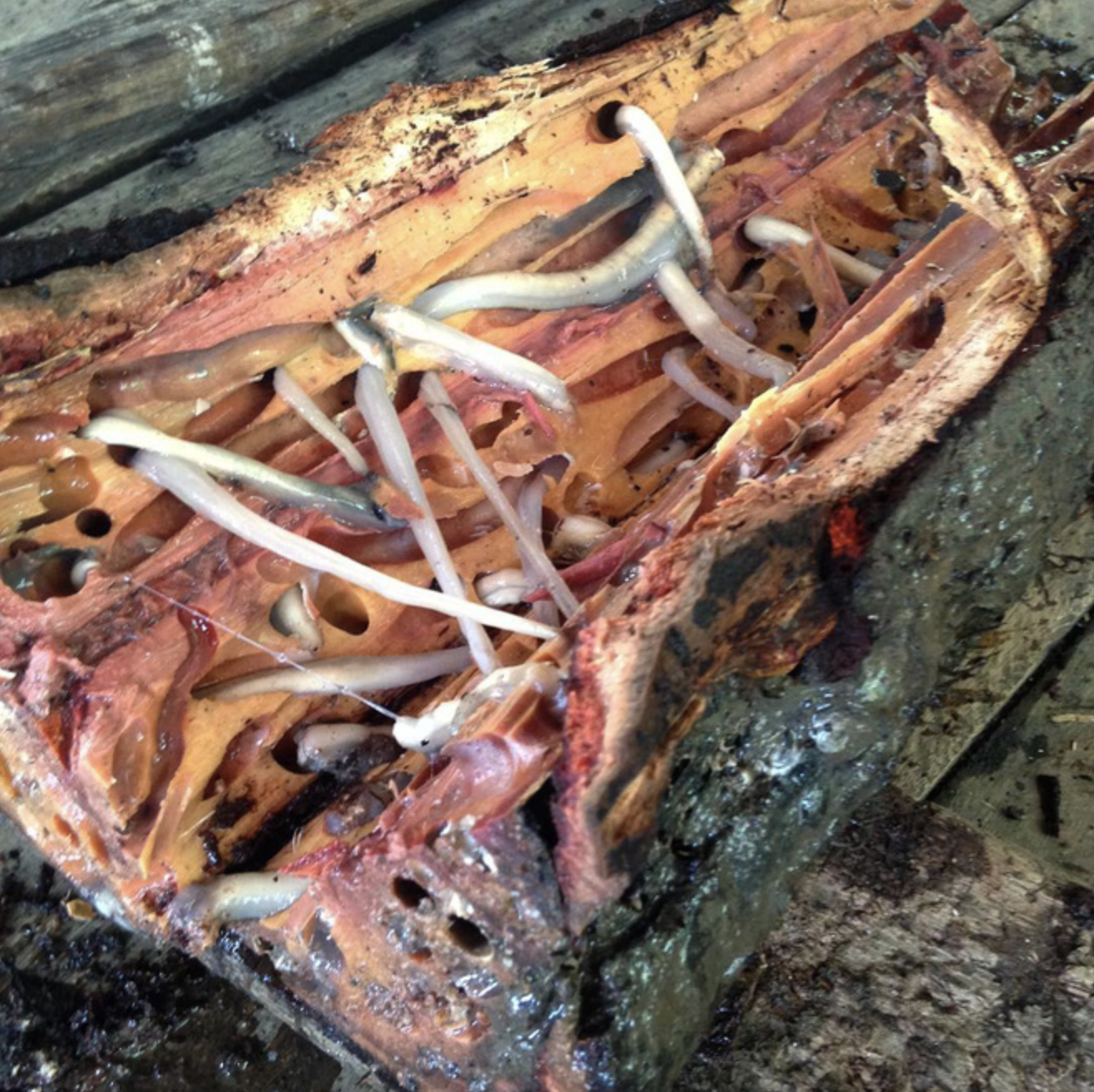 anh man hinh 2025 11 25 luc 211925