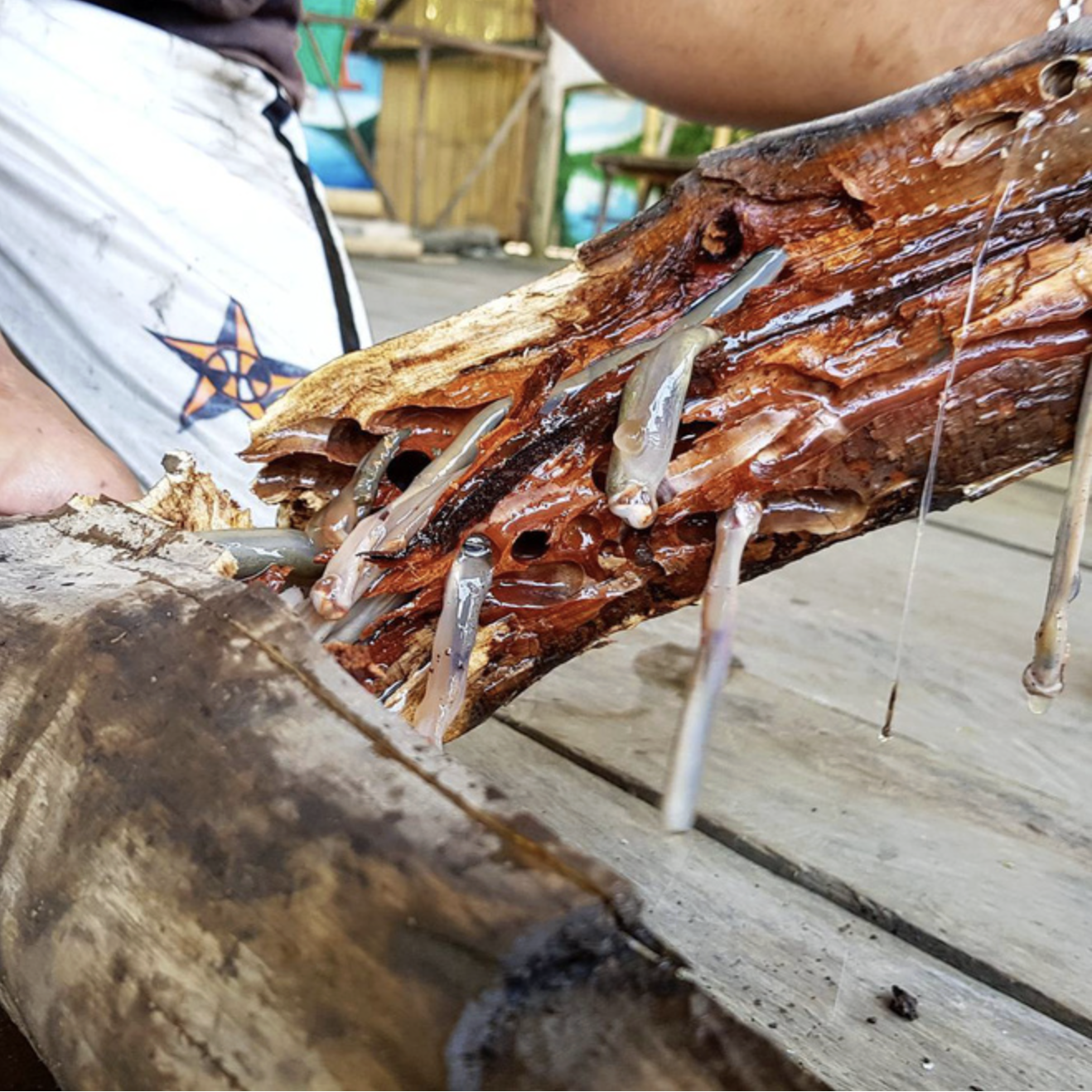 anh man hinh 2025 11 25 luc 211935