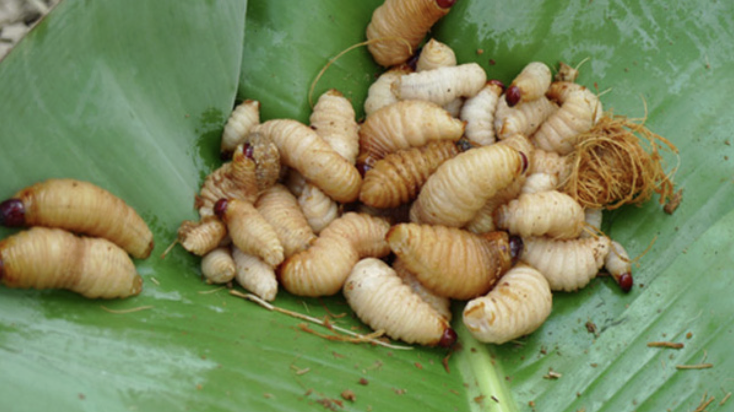 anh man hinh 2025 11 25 luc 212009