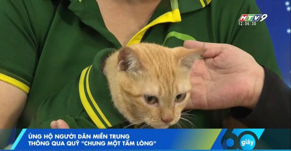 48648248811870687531191565527489574962883n1