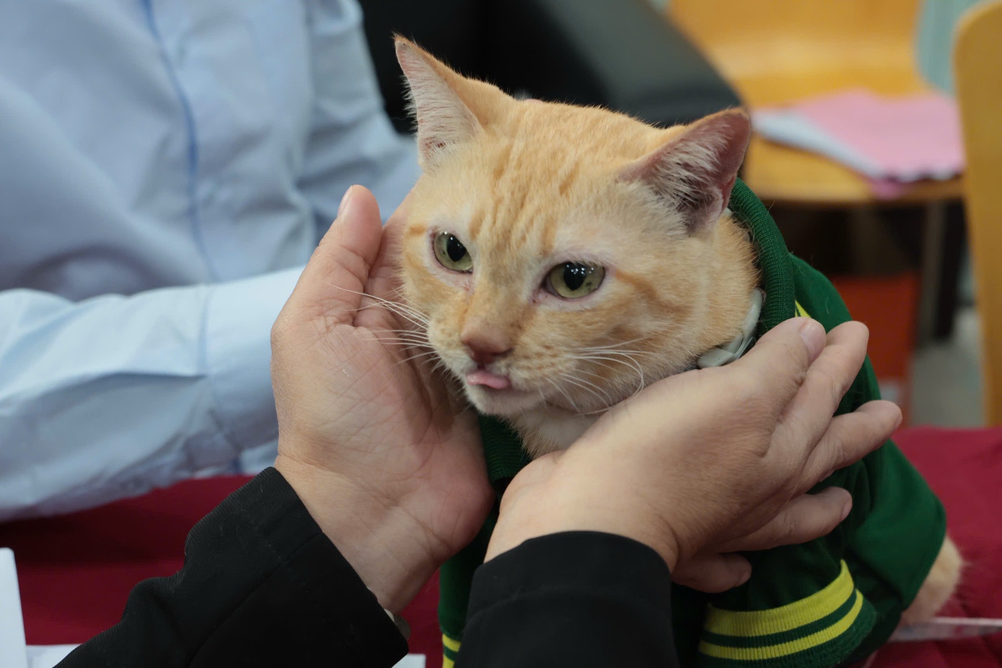 5899459438633208429001258858104644633821819n