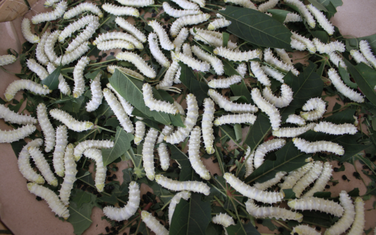 anh man hinh 2025 11 28 luc 220844