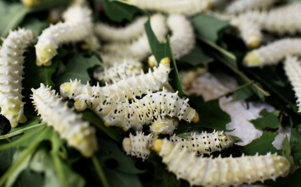 anh man hinh 2025 11 28 luc 220859