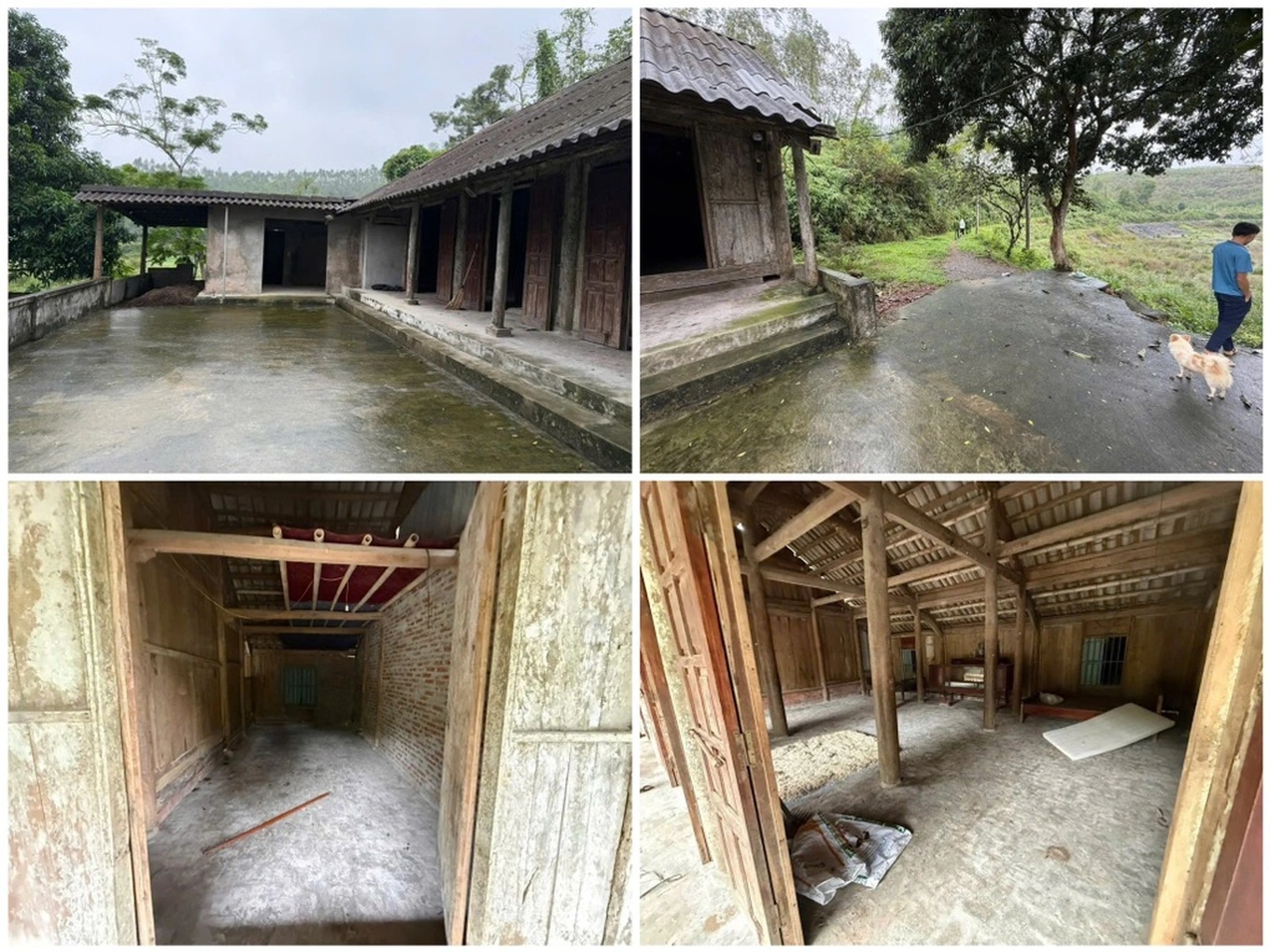 duc xuong khop de truc loi bao hiem co the bi xu ly ra sao 1763394467233