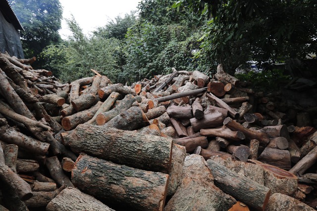 photo 3 1704336696931917221651