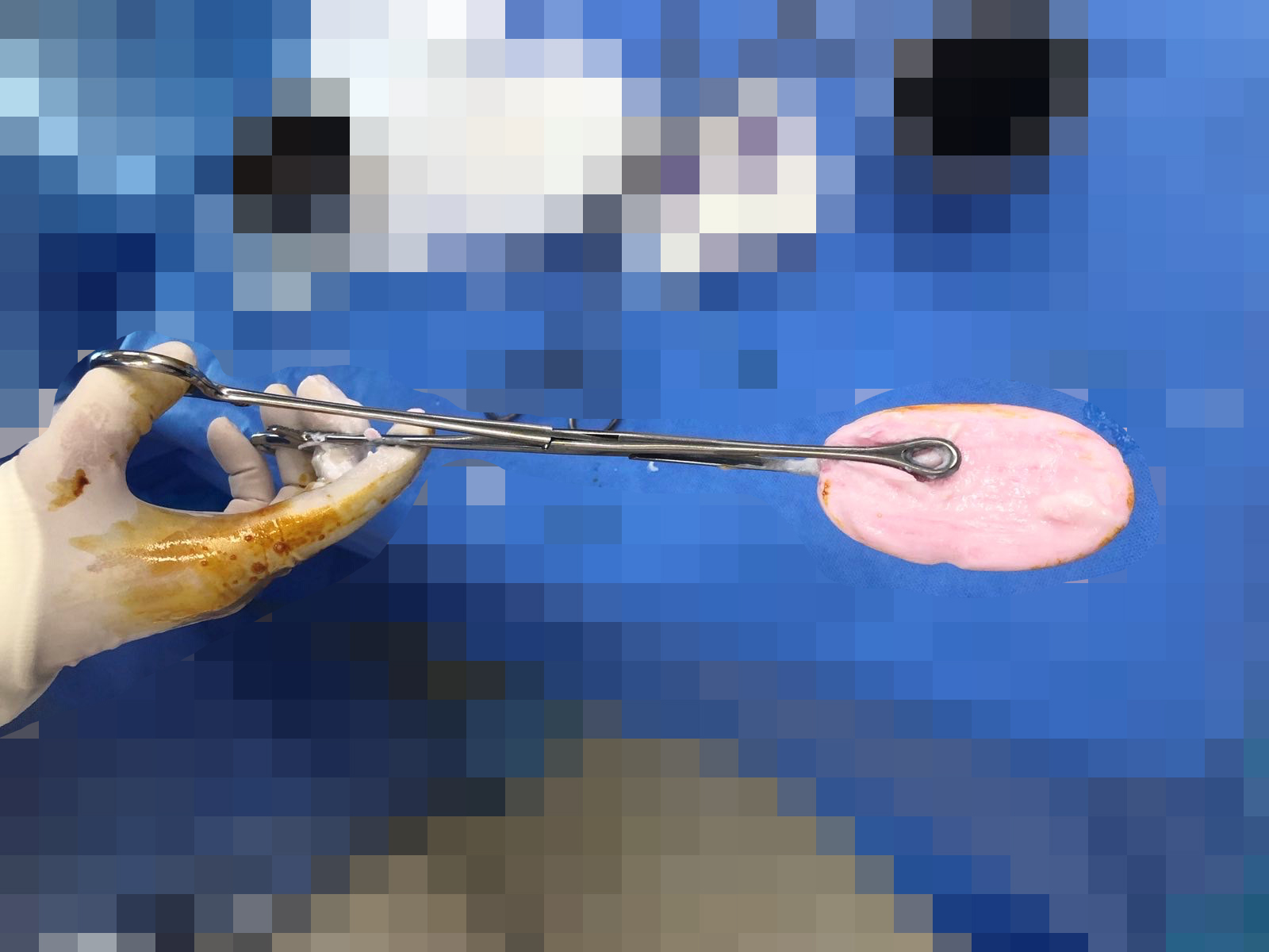 5919110391298879628942619490341111598656189n