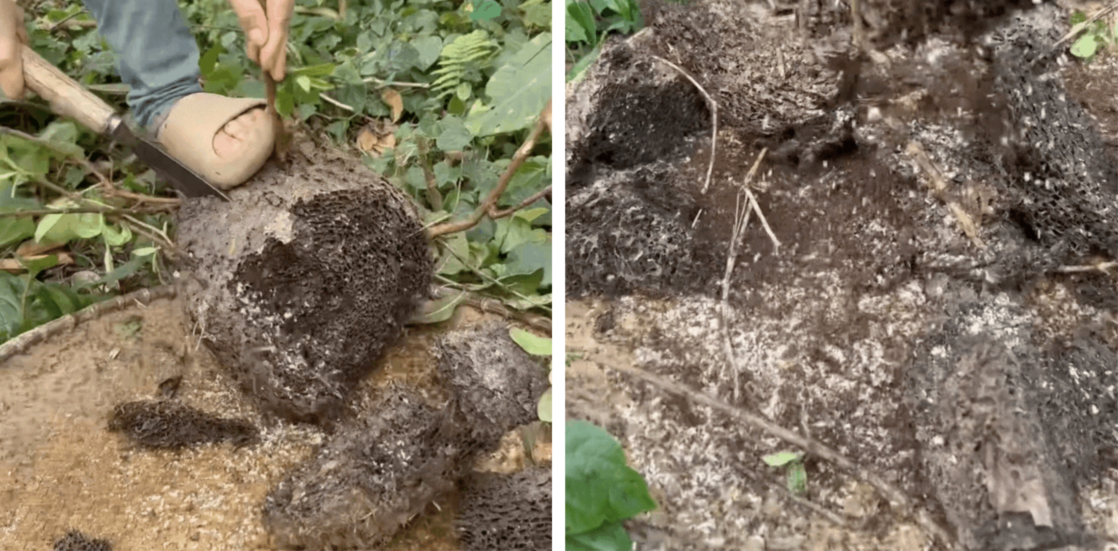 anh man hinh 2025 12 01 luc 214946