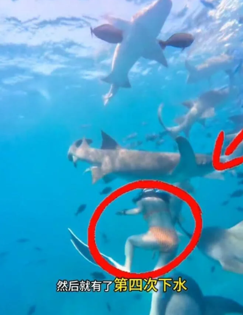 screenshot 2025 12 02 122423