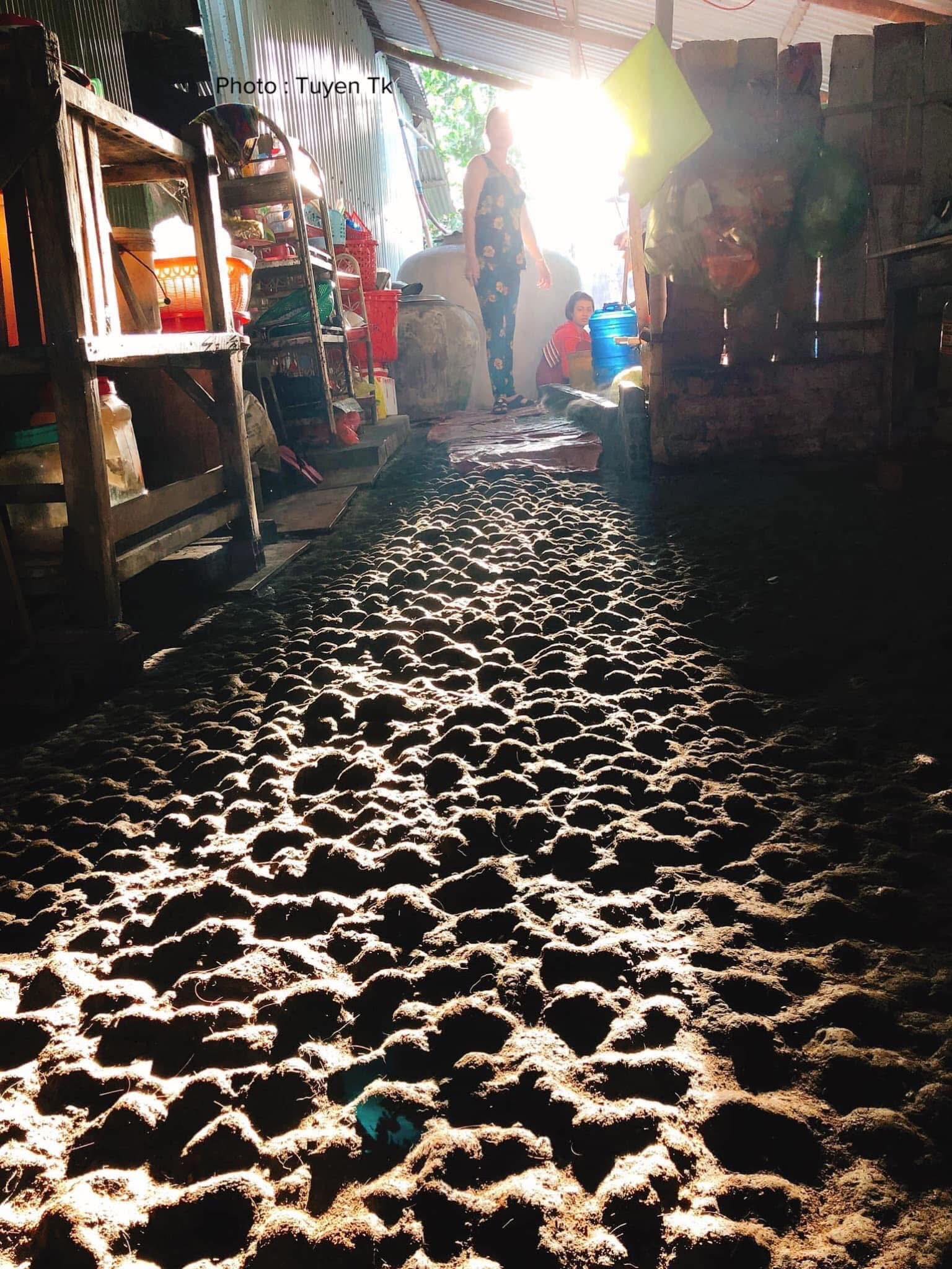 4848164561221651515063063473001561847496207336n