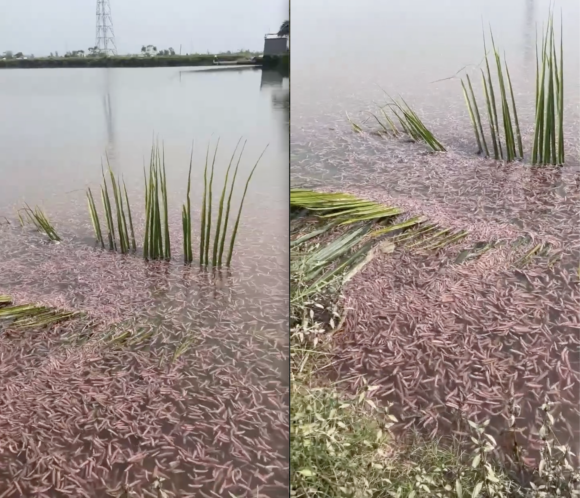 anh man hinh 2025 12 05 luc 205147