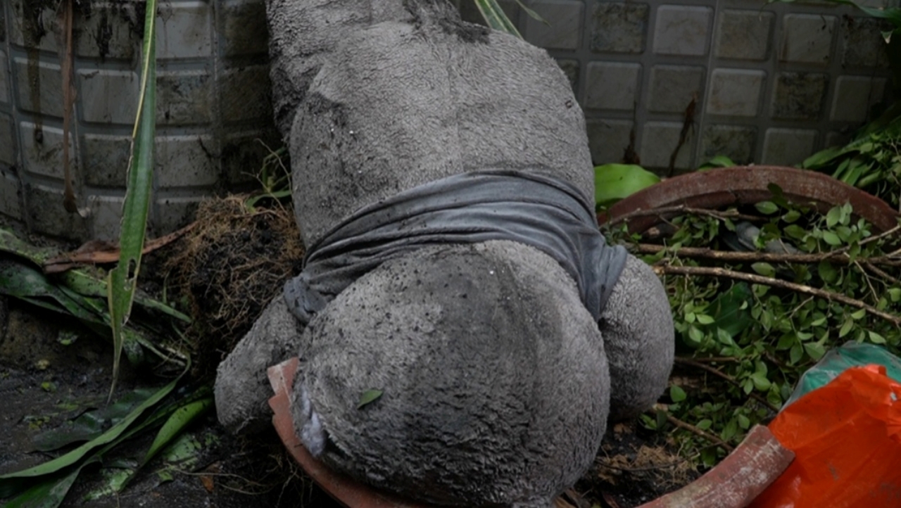 batchimg20251205151057