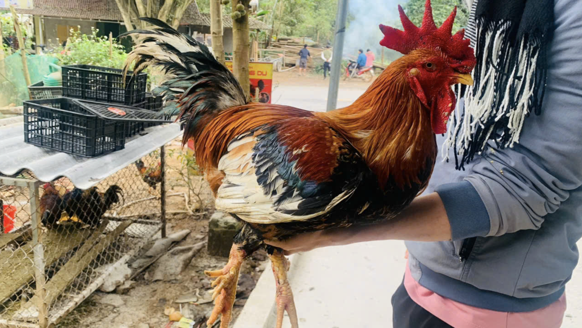 anh man hinh 2025 12 06 luc 182139