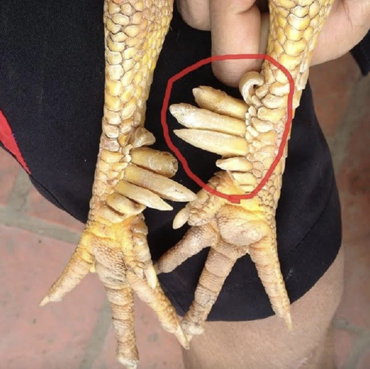 anh man hinh 2025 12 06 luc 182400