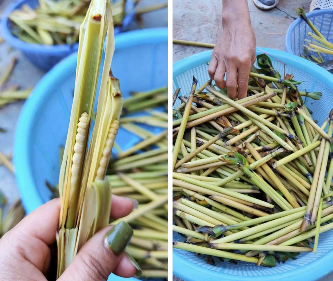 anh man hinh 2025 12 07 luc 192242