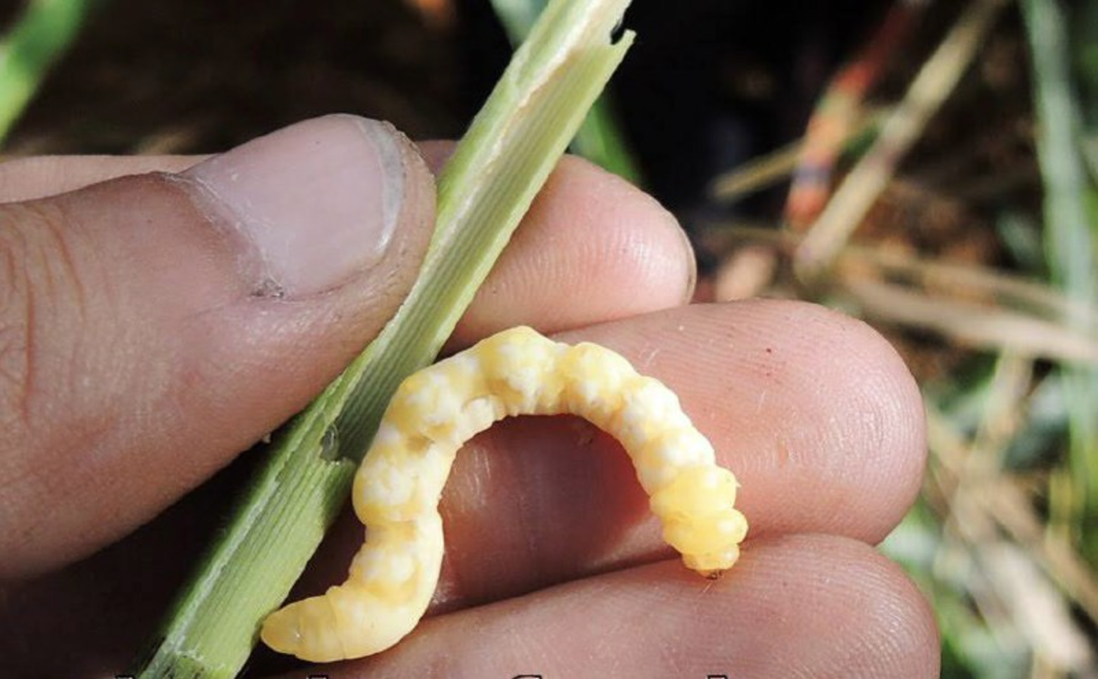 anh man hinh 2025 12 07 luc 192257