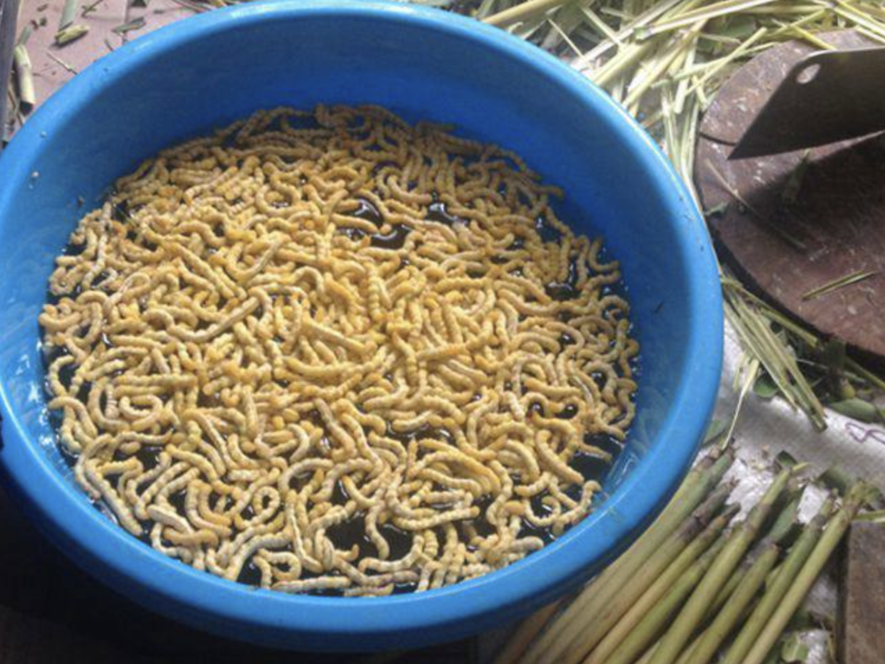 anh man hinh 2025 12 07 luc 192308