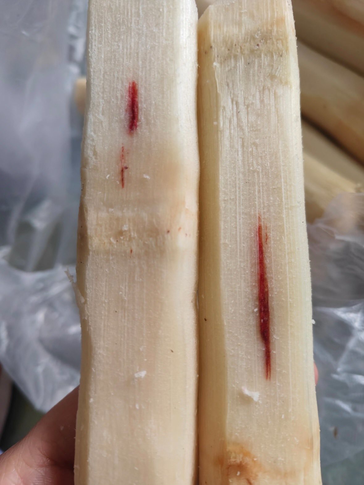 5943531028244486372585288865285717258370302n