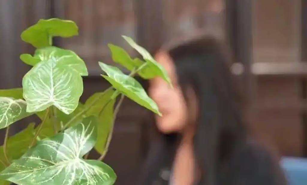 38d5556f eecf 48a2 a4b2 cc1022ebcf010330a032