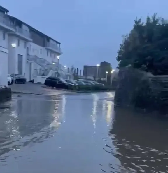 cf9b5821 7d36 43cf a8be 10f26824a079