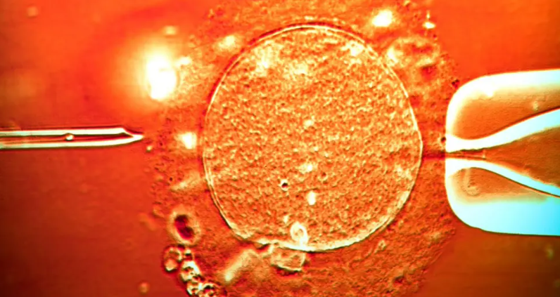 screenshot 2025 12 11 102706