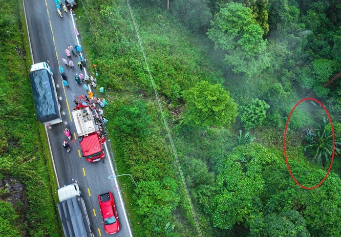 xyanua 33 1765442914062932482571