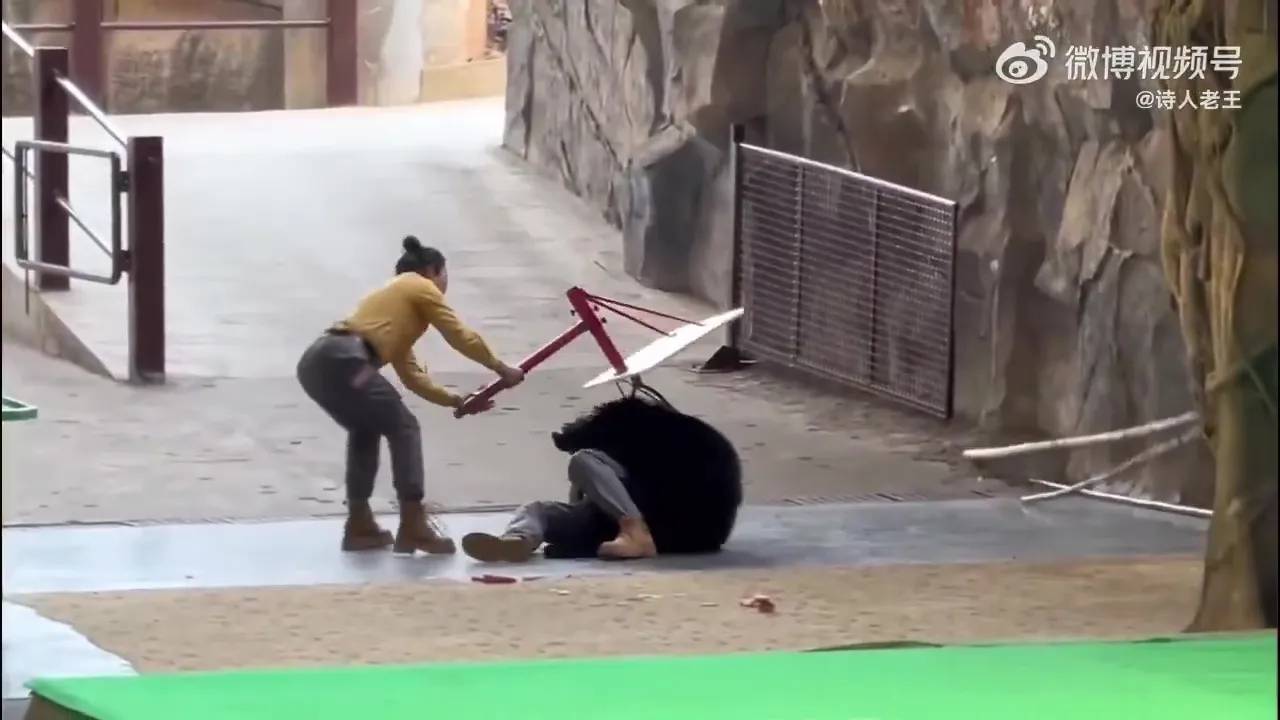 park issues statement saying bear 1044049575