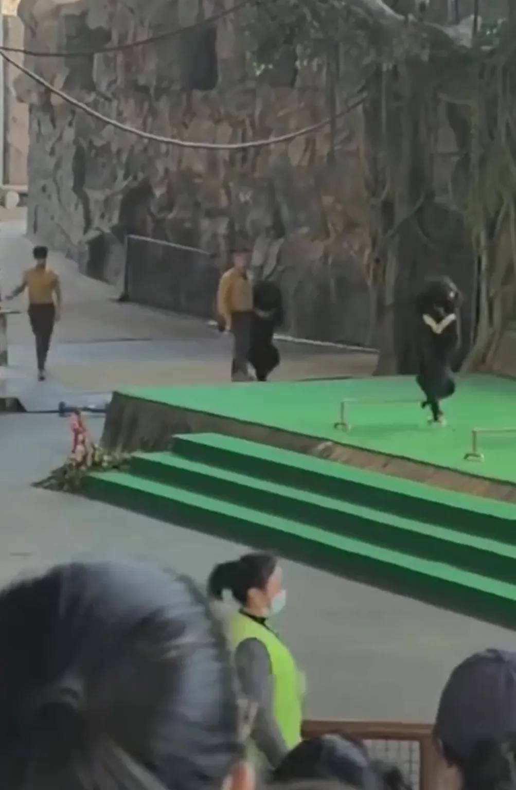 park issues statement saying bear 1044049577