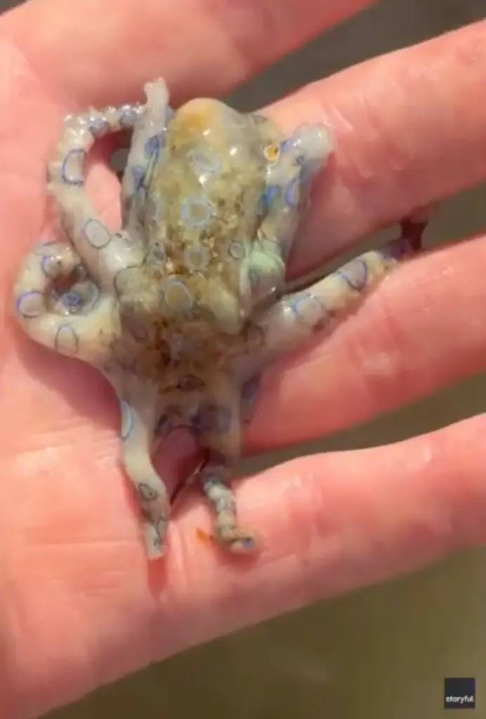 british man philippines unknowingly handled 117440465