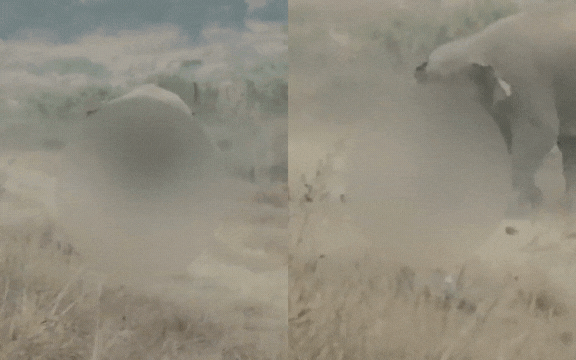 toan canh covid 19 quay lai tai chau a 8