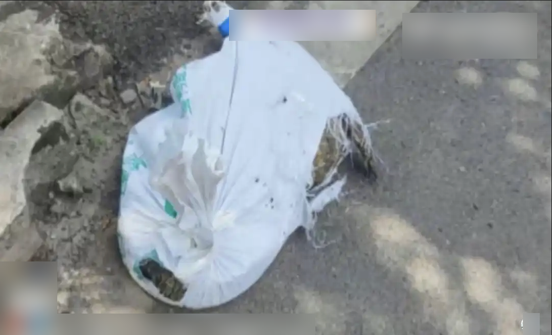 anh man hinh 2025 12 19 luc 195321