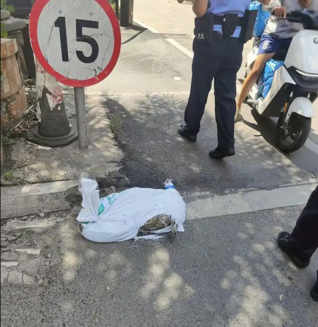 anh man hinh 2025 12 19 luc 195336