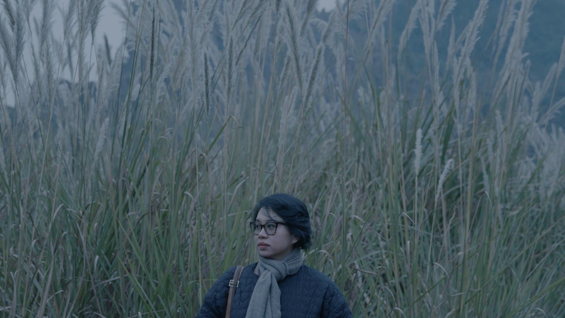 0db2dc2a 6e5d 4430 b597 0a686aa12a83