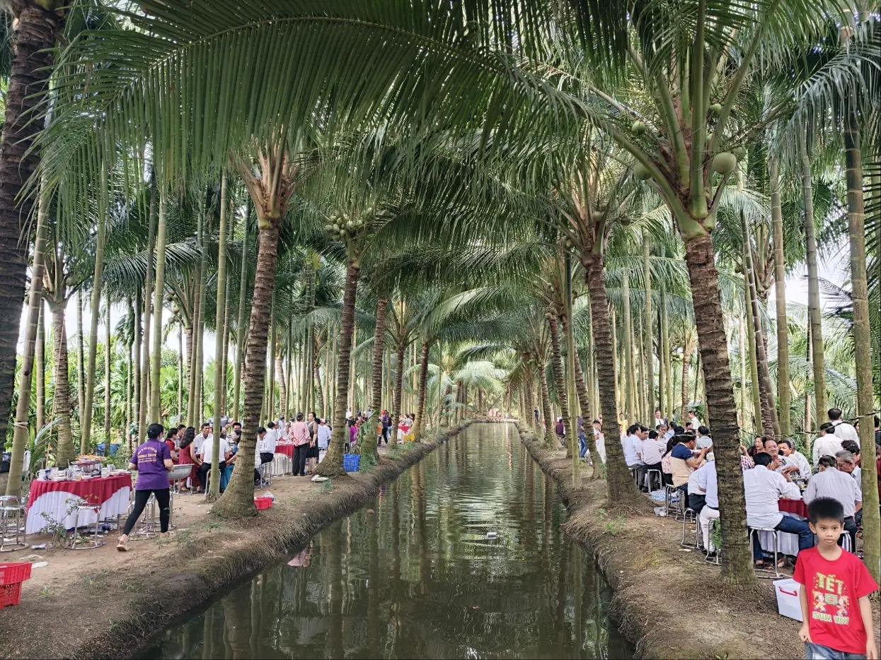 c5997606a09944a1bf5a07f1fd2191fftplv jj85edgx6n image origin