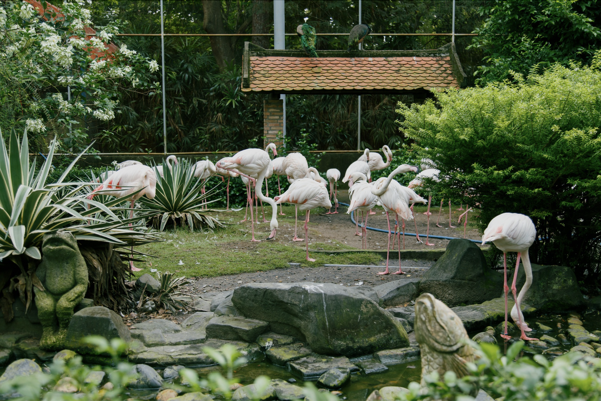 anh man hinh 2025 12 26 luc 211631