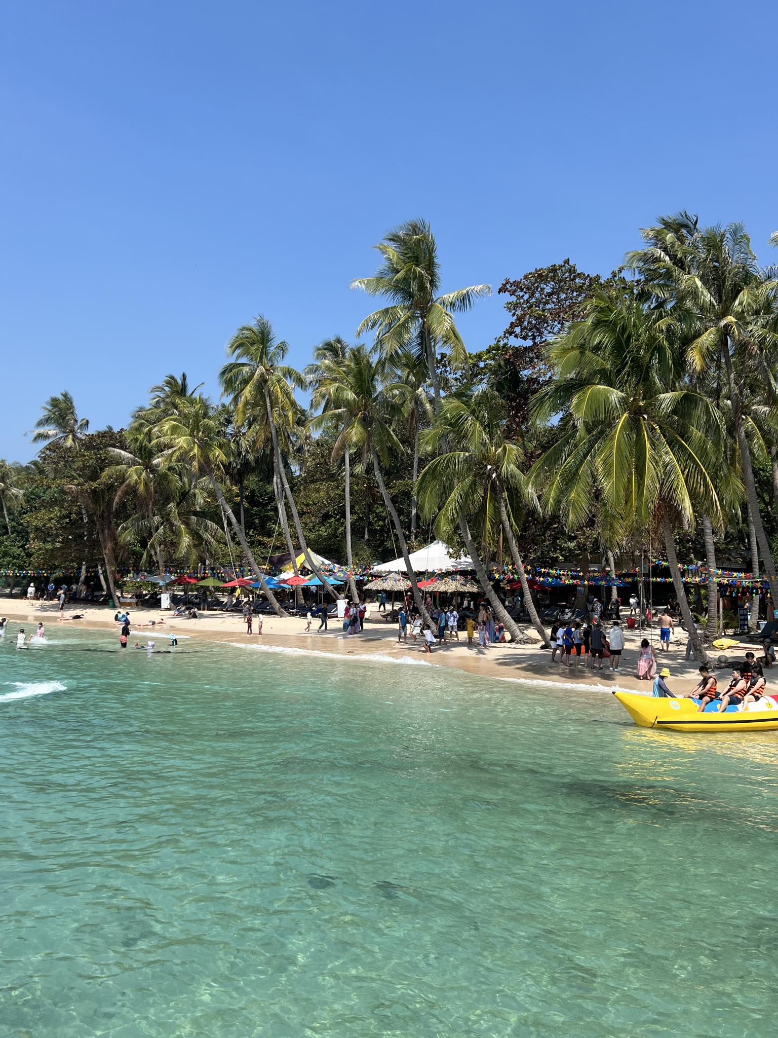 att6ejlypqvxzttyy0shw22zexa7nkc7codioi8cpvo ua