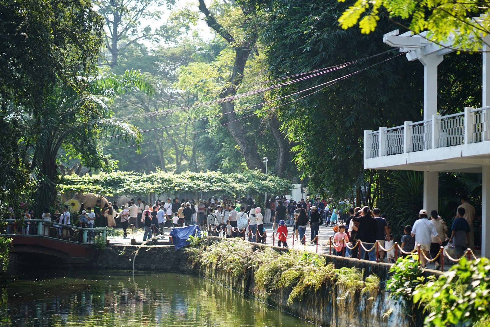 batchlv020260101112143