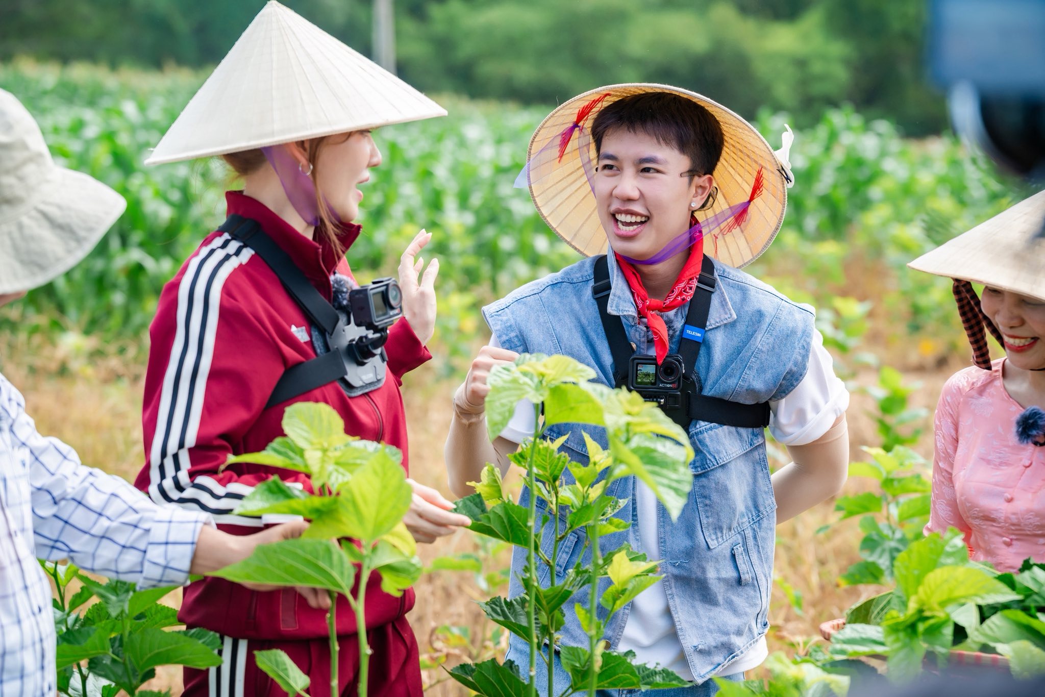 495600114122159835596461348538223750991685677n