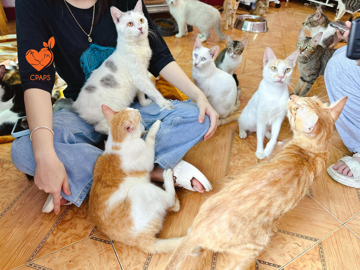 snapinstato591125947179084783762791455119211039745348711n