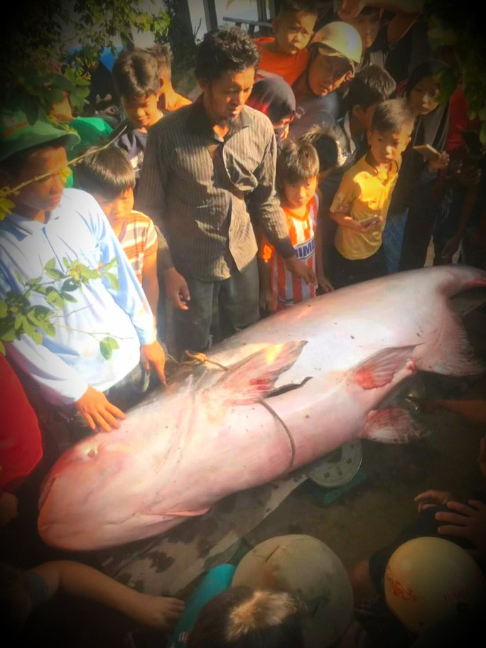 photo 1 1577110947198108697570