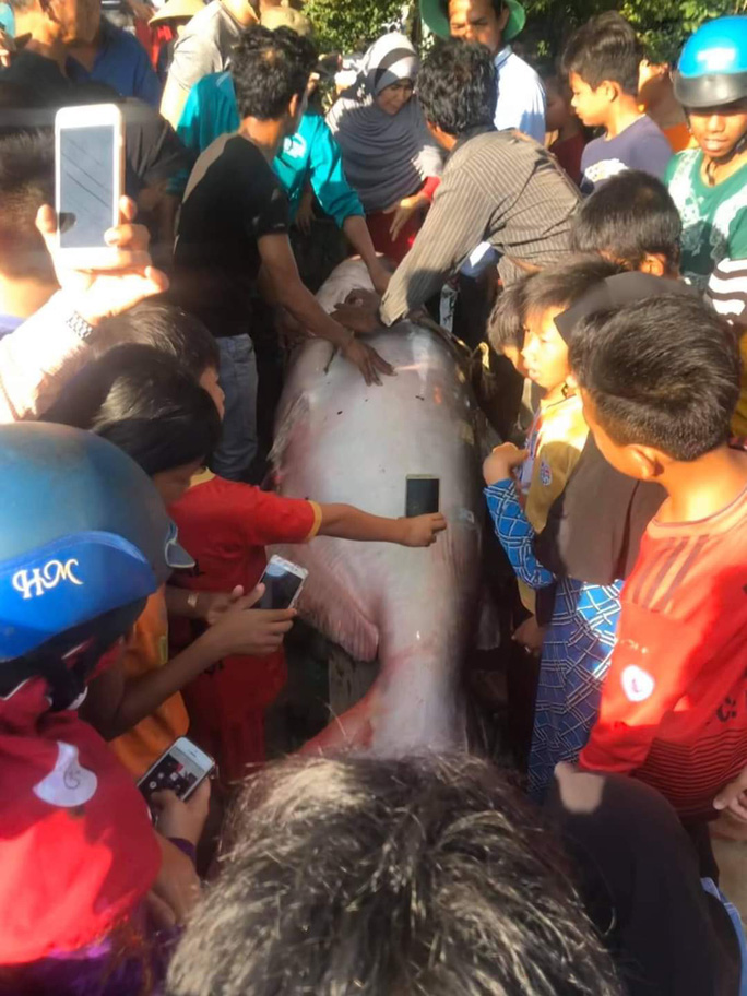 photo 2 1577110951956224129379