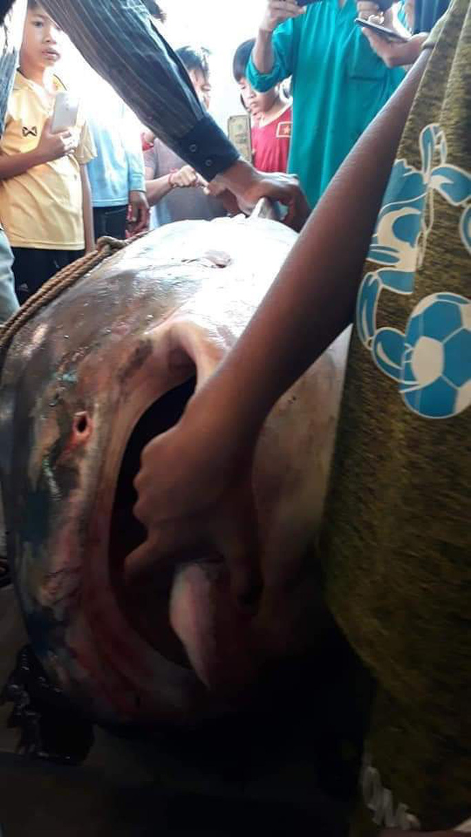 photo 3 1577110951959738479233