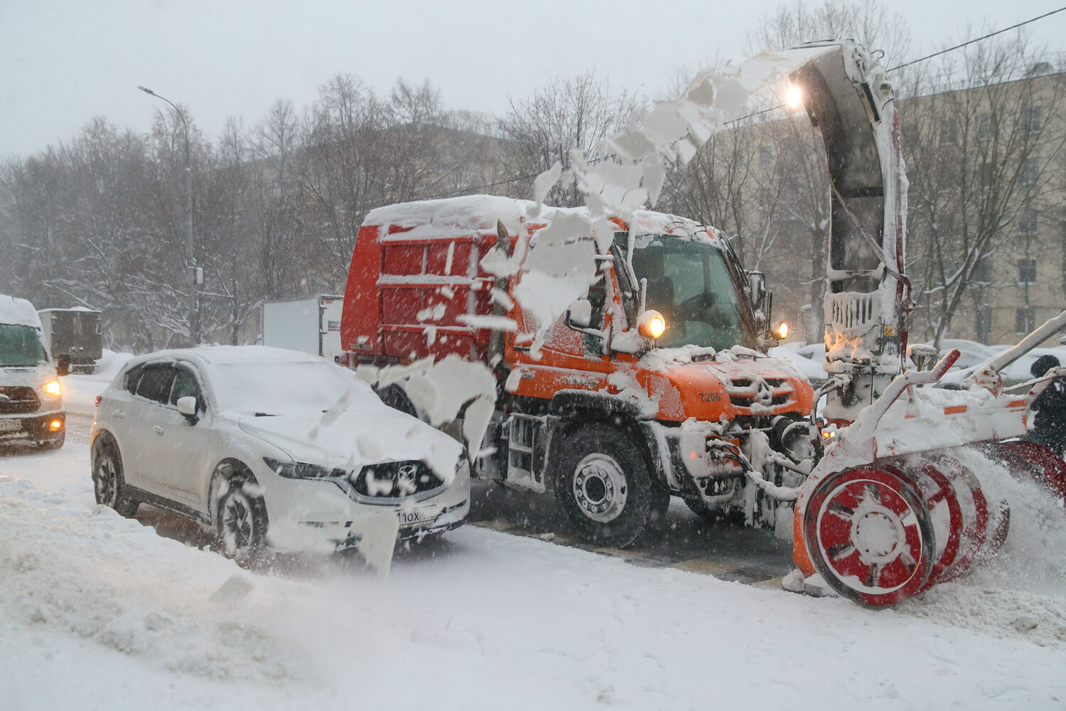 upload 1224647 pic4zoom 1500x1500 56099